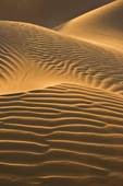 desert-dune.jpg