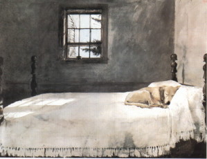 Wyeth-chien.jpg